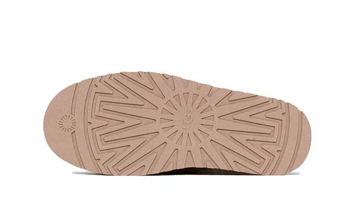 Sneakers og sko UGG Disquette Brun | 1122550.CHE, 1
