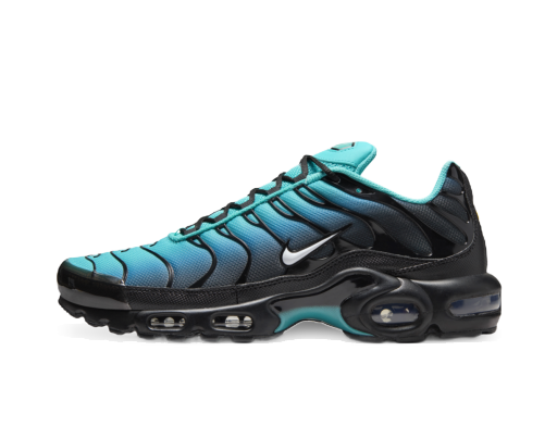 Sneakers og sko Nike Air Max Plus "Light Retro" Blå | DM0032-401
