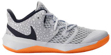Sneakers og sko Nike Nike Zoom Hyperspeed Court SE Grå | dj4476-900, 0