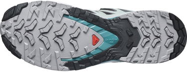 Sneakers og sko Salomon Xa Pro 3D V9 Gtx W Flerfarvet | L47119100, 4