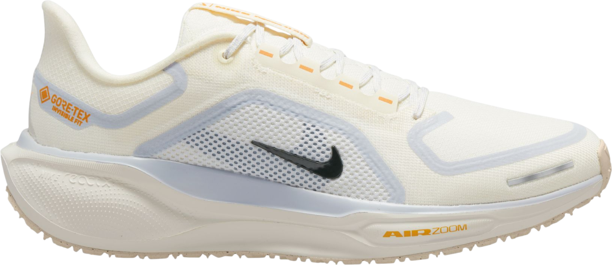 Sneakers og sko Nike Pegasus 41 GORE-TEX Beige | fq1356-102, 0