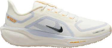 Sneakers og sko Nike Pegasus 41 GORE-TEX Beige | fq1356-102, 0