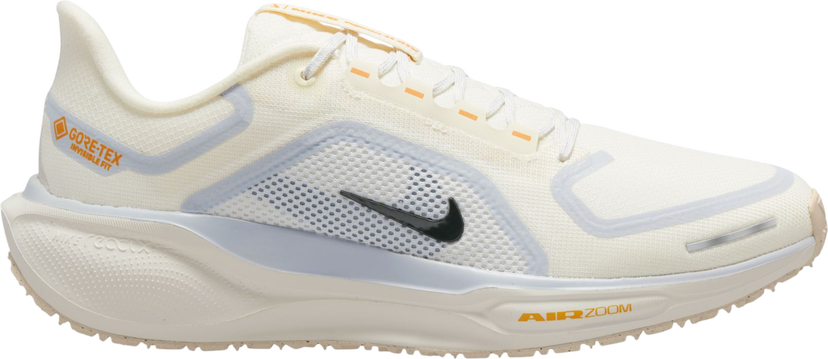 Sneakers og sko Nike Pegasus 41 GORE-TEX Beige | fq1356-102