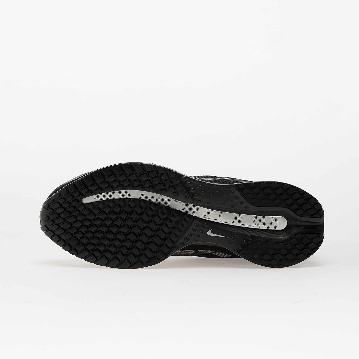 Sneakers og sko Nike Pegasus Premium Sort | HQ2592-005, 1
