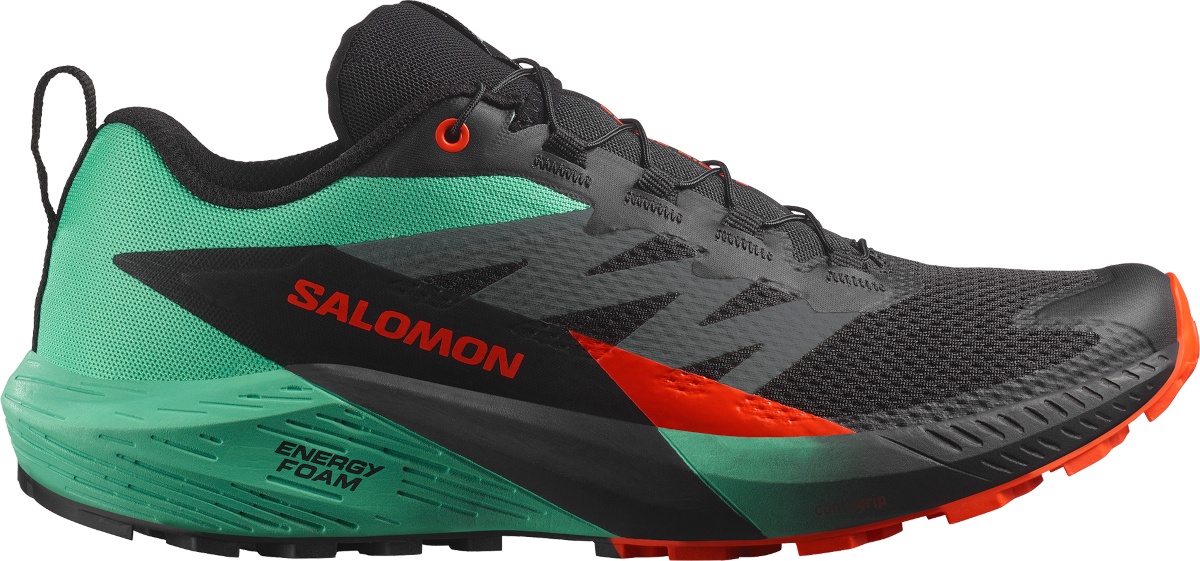 Sneakers og sko Salomon SENSE RIDE 5 Grøn | l47698200, 0