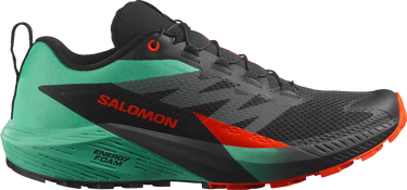 Sneakers og sko Salomon SENSE RIDE 5 Grøn | l47698200, 0
