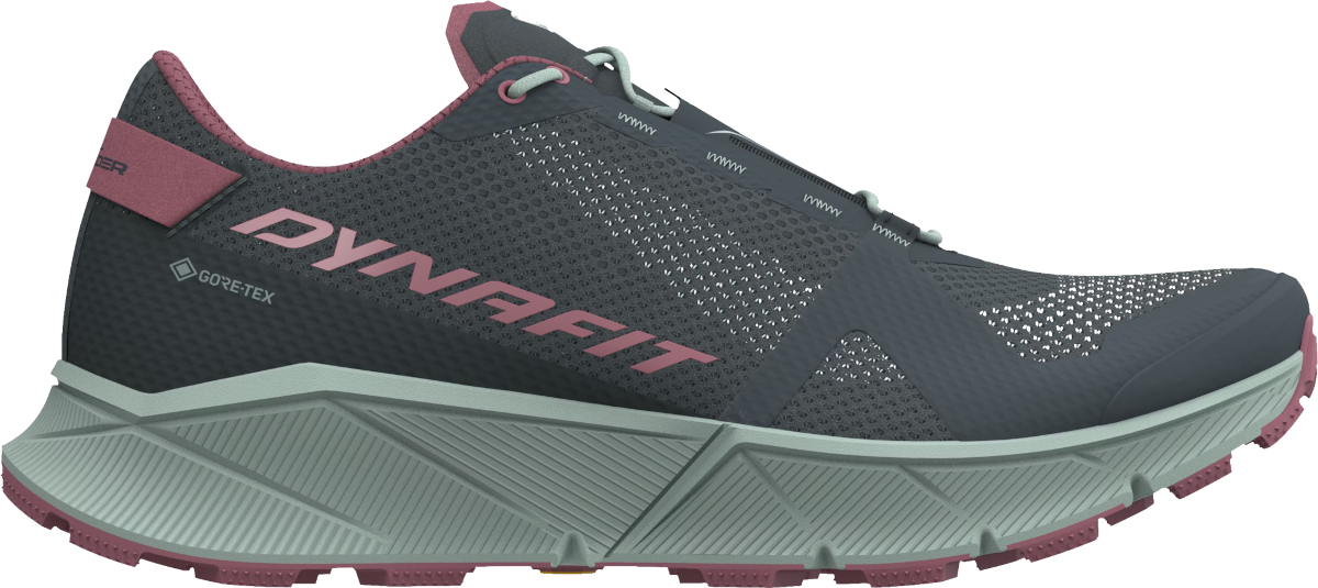 Sneakers og sko Dynafit ULTRA 100 GTX W Grå | 08-0000064090-0713, 0
