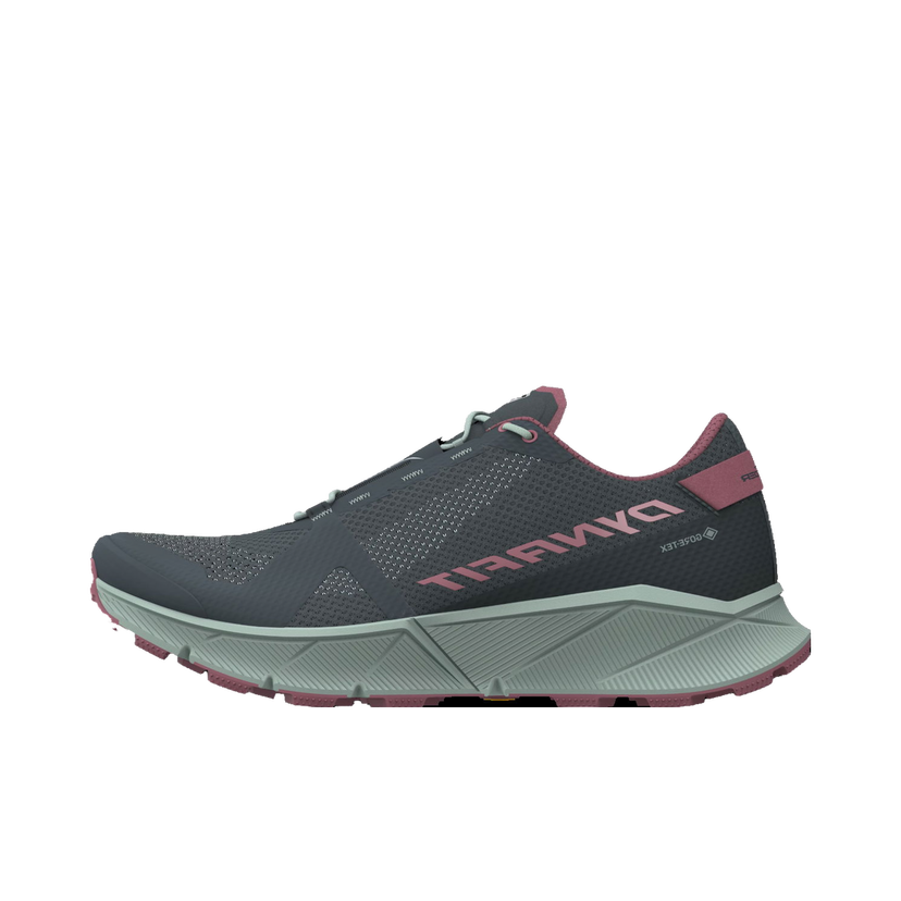 Sneakers og sko Dynafit ULTRA 100 GTX W Grå | 08-0000064090-0713