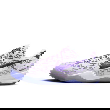 Sneakers og sko Nike KOBE 8 PROTRO GS COURT Grå | FN0266-101, 0