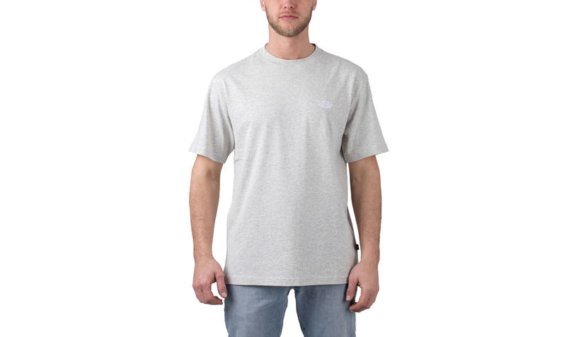 T-shirt Dickies Summerdale Grå | DK0A4YAIA28