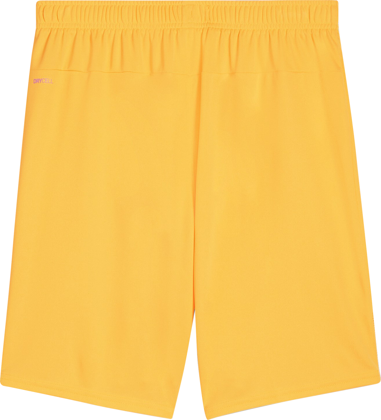 Shorts Puma SK Rapid Wien Goalkeeper Shorts 2024/2025 by Puma Gul | skr705752-61, 1