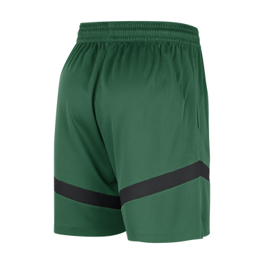 Shorts Nike Dri-FIT NBA Boston Celtics Icon Grøn | FB4016-312, 2