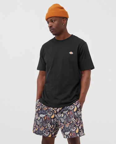 T-shirt Dickies MAPLETON TEE Sort | 194903388614, 1