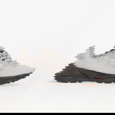 Sneakers og sko Puma Fast-Trac NITRO 3 GTX Dusky Gray-Gray Echo Grå | 37979403, 2