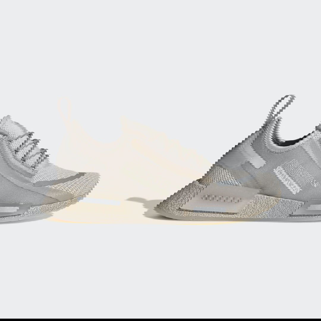 Sneakers og sko adidas Originals NMD_R1 Spectoo Beige | GZ9266, 0