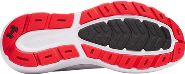 Sneakers og sko Under Armour Charged Rogue 5 Hvid | 3028256-104, 2