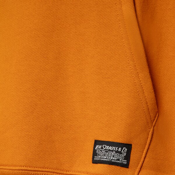 Sweatshirt Levi's Skate Brun | A1008-0005, 1