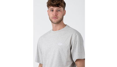 T-shirt Dickies Summerdale Grå | DK0A4YAIA28, 2