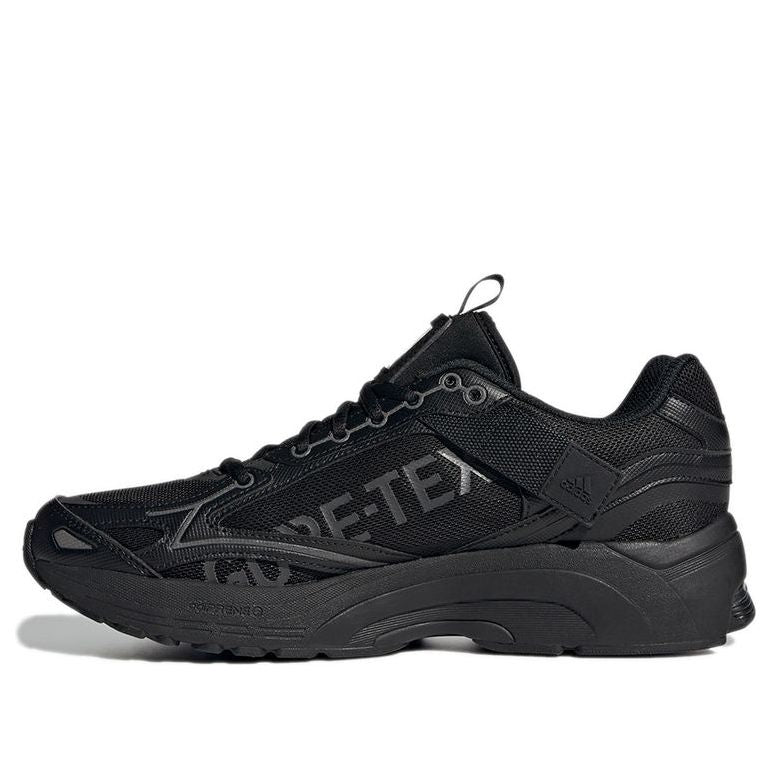 Sneakers og sko adidas Originals Spiritain 2000 GTX Sort | GZ1321, 0