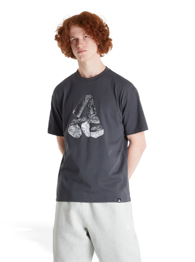 T-shirt Nike ACG Short Sleeve Tee Grå | DJ5805-060