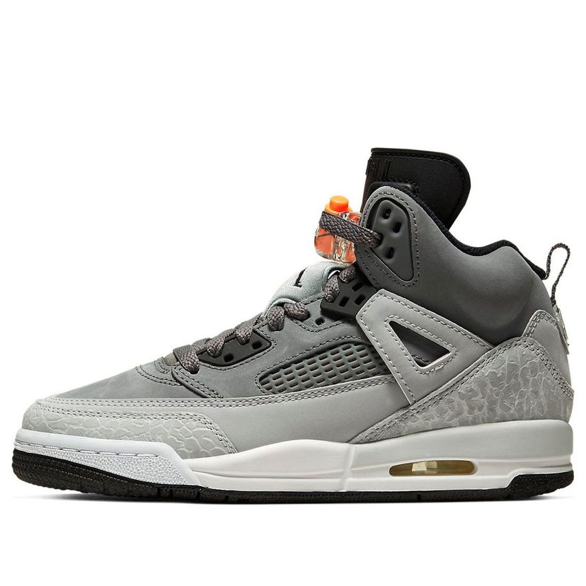 Sneakers og sko Jordan Air Jordan Spizike Grå | 317321-008