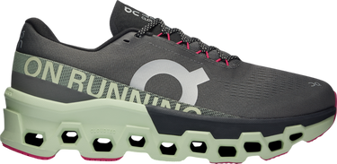 Sneakers og sko On Running Cloudmonster 2 Sort | 3me10122541, 0