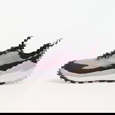 Sneakers og sko adidas Performance Terrex Free Hiker 2 Low Gtx W Prlofi/ Silver Dawn/ Aurbla Lilla | IH3540, 0