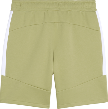 Shorts Puma Puma teamEvostripe Shorts Grøn | 659951-40, 1