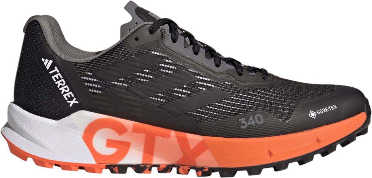 Sneakers og sko adidas Performance TERREX AGRAVIC FLOW 2 GTX Sort | hr1110, 0