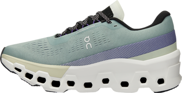 Sneakers og sko On Running Cloudmonster 2 Grå | 3we10112078, 2