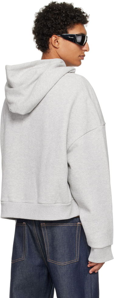 Sweatshirt Entire Studios Entire Studios Heavy Cropped Hoodie Grå | ES2125SI, 2