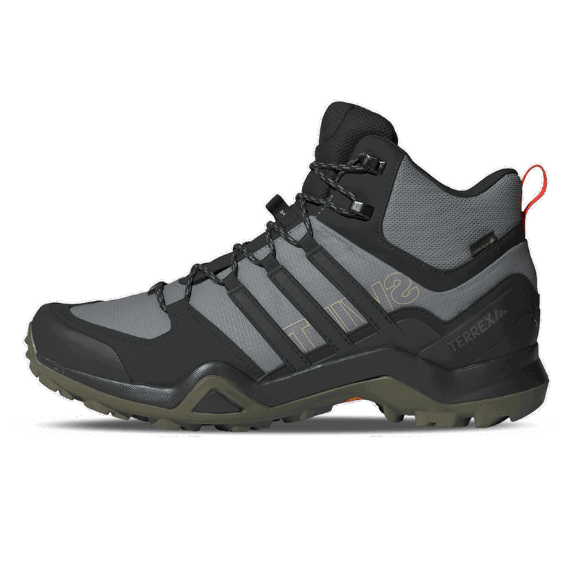 Sneakers og sko adidas Originals TERREX SWIFT R2 MID GTX Flerfarvet | IH2602