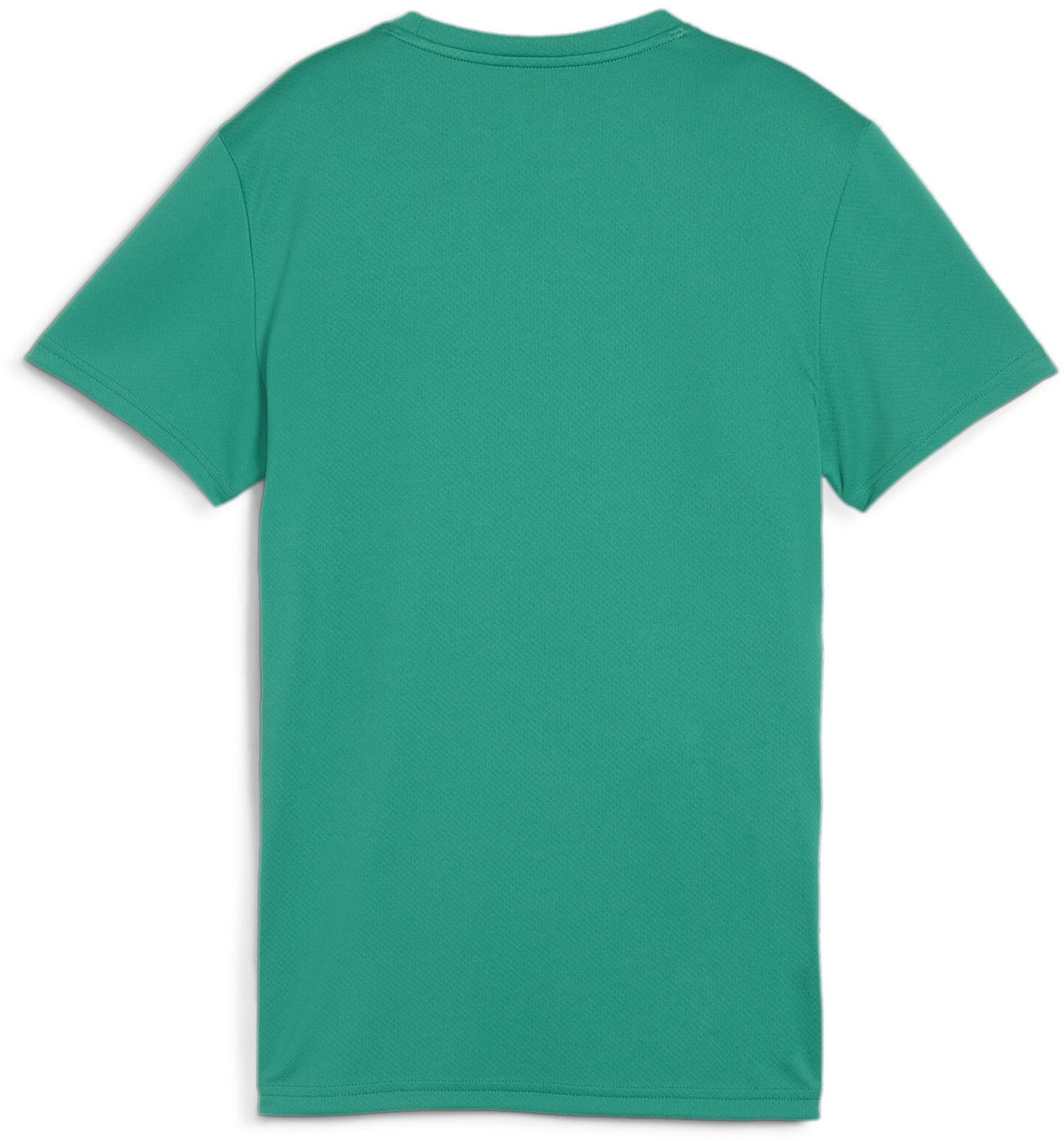 T-shirt Puma teamGOAL T-shirt Grøn | 658638-05, 1