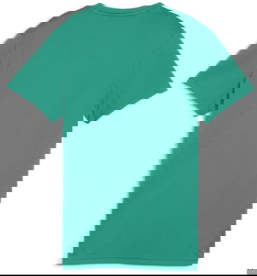 T-shirt Puma teamGOAL T-shirt Grøn | 658638-05, 1