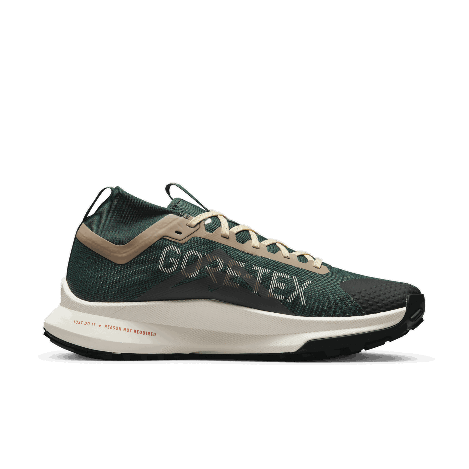 Sneakers og sko Nike Pegasus Trail 4 GORE-TEX Grøn | FD0317-333, 1