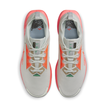 Sneakers og sko Nike Pegasus Trail 5 GORE-TEX Grå | FQ0908-004, 2