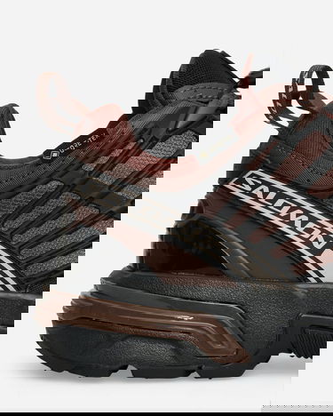 Sneakers og sko Salomon ACS Pro GORE-TEX Brun | L47736400, 6