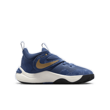 Sneakers og sko Nike Team Hustle D 11 Blå | FZ8463-400, 2