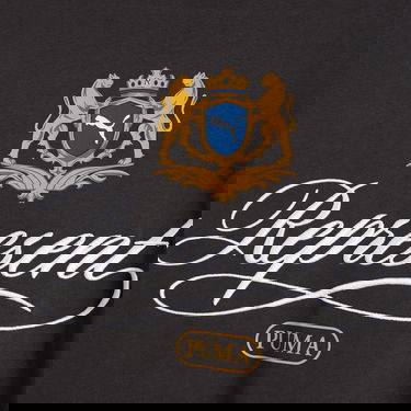 T-shirt Puma REPRESENT Graphic T-Shirt Grå | 632544-97, 2