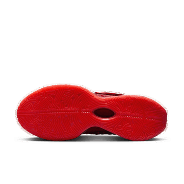 Sneakers og sko Nike LeBron 21 Rød | HF5951-600, 3