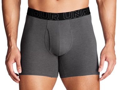 Boksere Under Armour Perf Cotton 6in-GRY Grå | 1383889-025, 0