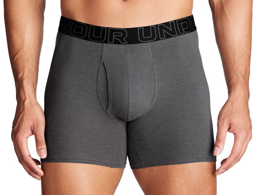 Boksere Under Armour Perf Cotton 6in-GRY Grå | 1383889-025