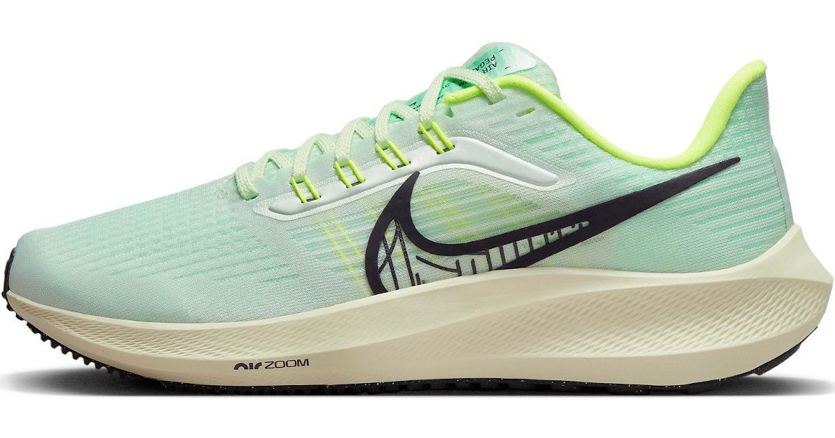 Sneakers og sko Nike Air Zoom Pegasus Turkis | dh4072-301, 1