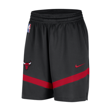 Shorts Nike Dri-FIT NBA Chicago Bulls Icon Practice Sort | FB4018-010, 0