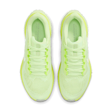 Sneakers og sko Nike Pegasus 41 Grøn | FD2723-702, 2