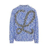 Crewneck Sweater