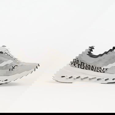 Sneakers og sko On Running Cloudsurfer Next Wide Grå | 3ME30190070, 2