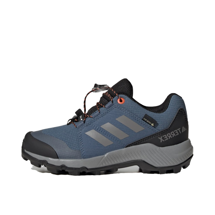 Sneakers og sko adidas Performance Terrex GORE-TEX Hiking Shoes Blå | JI1358
