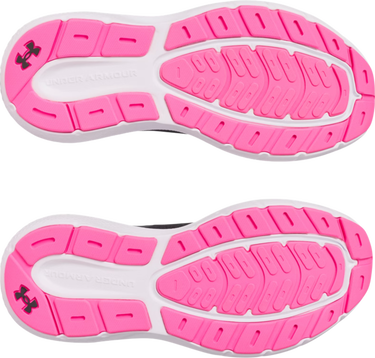 Sneakers og sko Under Armour Charged Rogue 5 Sort | 3028262-016, 2
