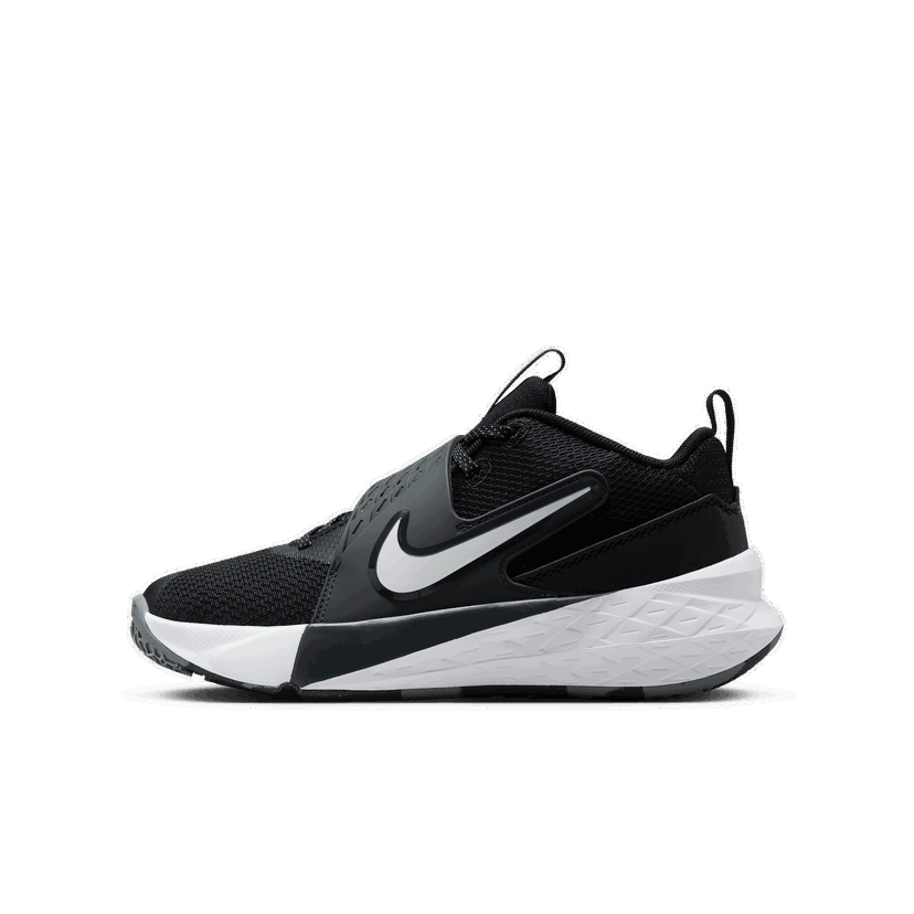 Sneakers og sko Nike Nike Team Hustle D 12 Sort | HF6279-002